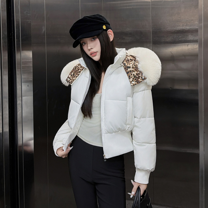 Kore Versiyonu, Çıkarılabilir  - Queen Street Fashion incelemesi ve fiyatı